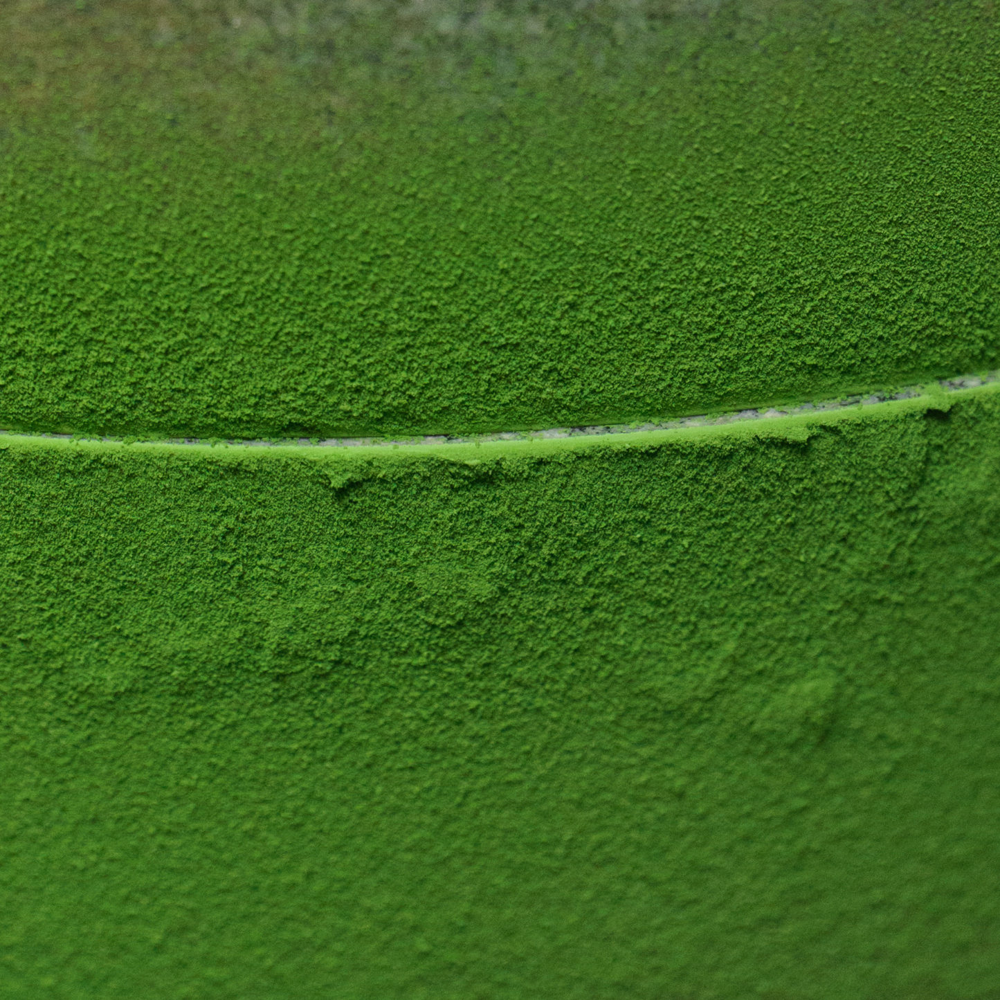 Organic Matcha Powder 50g